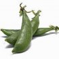 New Arrival PEAS, SUGAR DADDY SNAP, HEIRLOOM, 100+ SEEDS, GREAT FOR SALADS / SNACKS