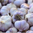 Top-Quality Siberian Garlic ,Whole Garlic Bulbs, Bulbs are ready for eating or planting. Top-Quality Siberian Garlic ,Whole Garlic Bulbs, Bulbs are ready for eating or planting.