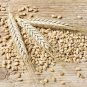 New Arrival 2 oz Barley - NON GMO microgreen seeds for Sprouting Sprouts