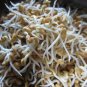 New Arrival 12 oz Fenugreek