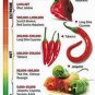 Premium CAYENNE PEPPER PEPPER, LONG RED THIN, HEIRLOOM, NON GMO, 20+ SEEDS