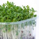 Top-Quality 4 oz Cress Top-Quality 4 oz Cress