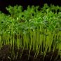Best-Selling 8 oz Flax