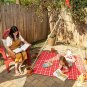 Top-Quality Living Growing Trellis Tent+25 Mixed Morning Glory Flower Seeds - Seed Play Love