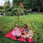 Top-Quality Living Growing Trellis Tent+25 Mixed Morning Glory Flower Seeds - Seed Play Love