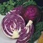 Limited Edition CABBAGE, RED ACRE, HEIRLOOM, 25+ SEEDS, COLORFUL TASTY HEALTHY VEGGIE