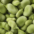 Top-Quality Bean Mix Garden Seed Collection, Heirloom, Seeds, 6 Top Varieties