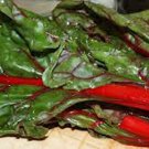 Premium Rhubarb Seed, Swiss Chard, HEIRLOOM, NON-GMO, 500 SEEDS Premium Rhubarb Seed, Swiss Chard, HEIRLOOM, NON-GMO, 500 SEEDS