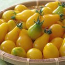 Premium TOMATO,YELLOW PEAR TOMATO SEED, HEIRLOOM, NON-GMO, 100+ SEEDS, TASTY