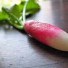 Premium Root Vegetable Seed Garden Collection, Heirloom, Seeds, 5 Top Varieties