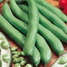 Best-Selling Aguadulce Fava Bean seeds, 25 count, NON-GMO, Acres Best-Selling Aguadulce Fava Bean seeds, 25 count, NON-GMO, Acres