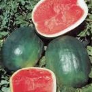 New Arrival WATERMELON SEED, BLACK DIAMOND, HEIRLOOM, 100 SEEDS, MELON, NON GMO New Arrival WATERMELON SEED, BLACK DIAMOND, HEIRLOOM, 100 SEEDS, MELON, NON GMO