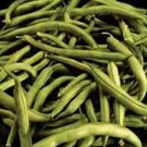 Exclusive BEAN SEED, COMMODORE BUSH, HEIRLOOM, 50+ SEEDS, NON GMO, GREEN BEANS Exclusive BEAN SEED, COMMODORE BUSH, HEIRLOOM, 50+ SEEDS, NON GMO, GREEN BEANS