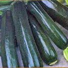 New Arrival ZUCCHINI, SQUASH SEED, BLACK BEAUTY, HEIRLOOM, 100 SEEDS, NON GMO