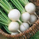 Exclusive TURNIP SEED,TURNIP, WHITE EGG, HEIRLOOM, 1000 SEEDS, NON GMO,VEGATABLE