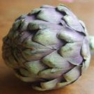 Top-Quality ARTICHOKE, GREEN GLOBE, HEIRLOOM, 20+ SEEDS, HEALTHY TASTY VEGGIE, SEED Top-Quality ARTICHOKE, GREEN GLOBE, HEIRLOOM, 20+ SEEDS, HEALTHY TASTY VEGGIE, SEED