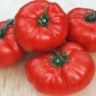 Best-Selling TOMATO SEEDS, TOMATO, BEEFSTEAK, HEIRLOOM SEEDS, NON GMO Best-Selling TOMATO SEEDS, TOMATO, BEEFSTEAK, HEIRLOOM SEEDS, NON GMO