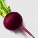New Arrival BEET SEED, EARLY WONDER, HEIRLOOM, NON GMO, 100 SEEDS, BEETS New Arrival BEET SEED, EARLY WONDER, HEIRLOOM, NON GMO, 100 SEEDS, BEETS
