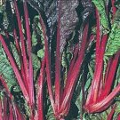 Premium SWISS CHARD SEED, SWISS CHARD, RUBY RED, HEIRLOOM, 500 SEEDS, NON GMO