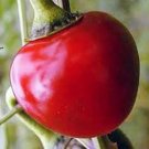 Top-Quality PEPPER SEED, LARGE HOT CHERRY, HEIRLOOM, NONGMO, 100 SEEDS, HOT PEPPER