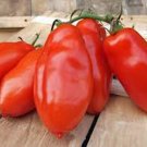 Premium Tomato Seeds, Tomato Seeds Garden Collection 6 , Heirloom, Seeds