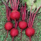 Limited Edition Ruby Queen Beet Buttery Retains color Exceptionally tender Bulk Limited Edition Ruby Queen Beet Buttery Retains color Exceptionally tender Bulk