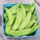 Top-Quality Oregon Sugar Pod II Peas Seeds 8 Oz - 1 LB SNOW PEA Heirloom Garden Non GMO