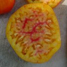 Best-Selling Big Rainbow Tomato seeds Heirloom big beefsteak meaty beautiful rare Best-Selling Big Rainbow Tomato seeds Heirloom big beefsteak meaty beautiful rare