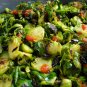 Top-Quality BRUSSELS Sprouts Long Island Improved Healthy Cold Hardy!