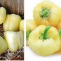 Exclusive White Cloud Sweet Bell Pepper Seeds Early! Rare color