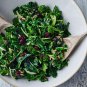 New Arrival Broccoli Early Fall Raab Rapini Seeds Microgreens Sprouting Garden