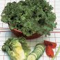 Premium Green Ice Loose Leaf Lettuce crisp & savoyed leaves 50 days!