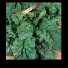 Best-Selling Giant Noble Spinach Seeds Bulk Huge Leaves! Heirloom NON-GMO Big Best-Selling Giant Noble Spinach Seeds Bulk Huge Leaves! Heirloom NON-GMO Big