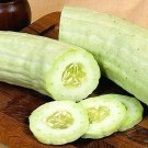 Best-Selling Armenian Yard-Long Cucumber Snake Melon Burpless Heirloom Bulk Best-Selling Armenian Yard-Long Cucumber Snake Melon Burpless Heirloom Bulk