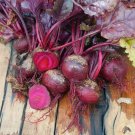 Top-Quality Beets Bulls Blood - 2Oz Seeds Heirloom 45 days! Nutritional Ornamental