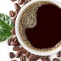 New Arrival Coffee Arabica Tree Beans Air purifying Houseplant decor Easy grow