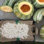 New Arrival Cushaw Green Striped Pumpkin Tennessee Sweet Potato Squash Gourd