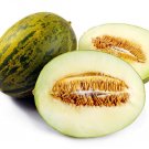 Exclusive PIEL DE SAPO MELON SEED Santa claus Toadskin melon EXTREMELY SWEET RARE HEIRLOOM
