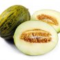 Exclusive PIEL DE SAPO MELON SEED Santa claus Toadskin melon EXTREMELY SWEET RARE HEIRLOOM