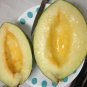 Exclusive PIEL DE SAPO MELON SEED Santa claus Toadskin melon EXTREMELY SWEET RARE HEIRLOOM
