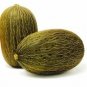 Exclusive PIEL DE SAPO MELON SEED Santa claus Toadskin melon EXTREMELY SWEET RARE HEIRLOOM