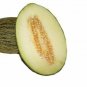 Exclusive PIEL DE SAPO MELON SEED Santa claus Toadskin melon EXTREMELY SWEET RARE HEIRLOOM