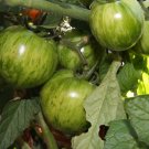 Premium GREEN ZEBRA Tomato Heirloom Unique Beautiful Color Salad Bulk