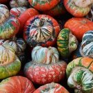 Top-Quality Turk's Turban Winter Squash 10 Seeds Turks Cap Heirloom Ornamental Gourd Edible