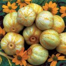 Top-Quality Lemon Cucumber Seeds Heirloom unique canning rare pickling OP Top-Quality Lemon Cucumber Seeds Heirloom unique canning rare pickling OP