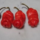 Best-Selling 10 seeds red Peter Pepper Heirloom Very Hot XXX rare chili funny & unique gift! Best-Selling 10 seeds red Peter Pepper Heirloom Very Hot XXX rare chili funny & unique gift!