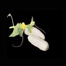 Top-Quality WHITE WONDER CUCUMBER Rare Heirloom Unique color! Non-GMO Top-Quality WHITE WONDER CUCUMBER Rare Heirloom Unique color! Non-GMO
