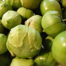 New Arrival Tomatillo Verde Seeds Heirloom Fresh Culinary Delicious Green Husk Salsa New Arrival Tomatillo Verde Seeds Heirloom Fresh Culinary Delicious Green Husk Salsa