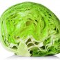 New Arrival Iceberg heading lettuce bulk heirloom crisp non GMO healthy