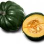 Limited Edition Table King Acorn Winter Squash Bush Heirloom Sweet Beautiful Bulk